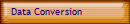 Data Conversion